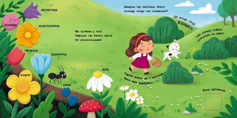 Книжка для малечі: Якого кольору?